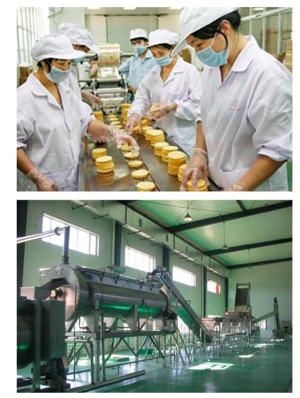 臭氧消毒殺菌設備